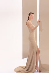 Shailee Gown